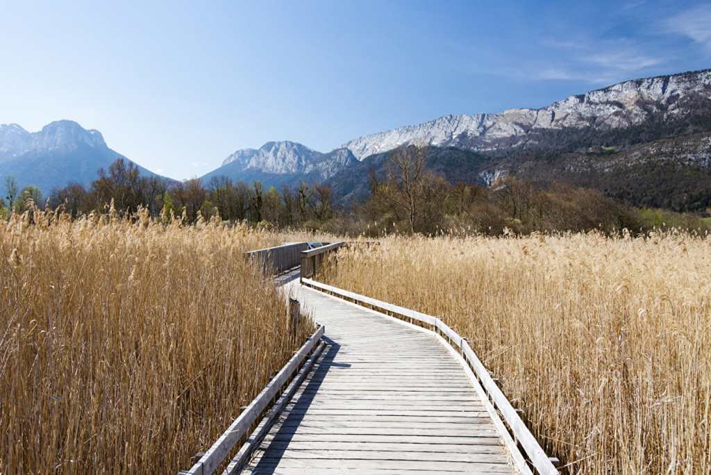 reserve naturelle bout du lac annecy 01