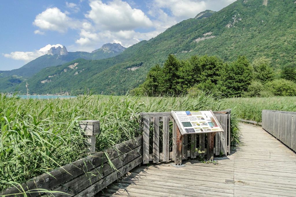 reserve naturelle bout du lac annecy 02